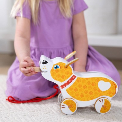  Melissa & Doug Feed Walk & Poo Pup Wooden Preschool Pull Toy Play Set