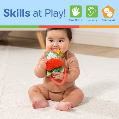  Melissa & Doug Peek-a-Boo Berry Baby Learning Toy