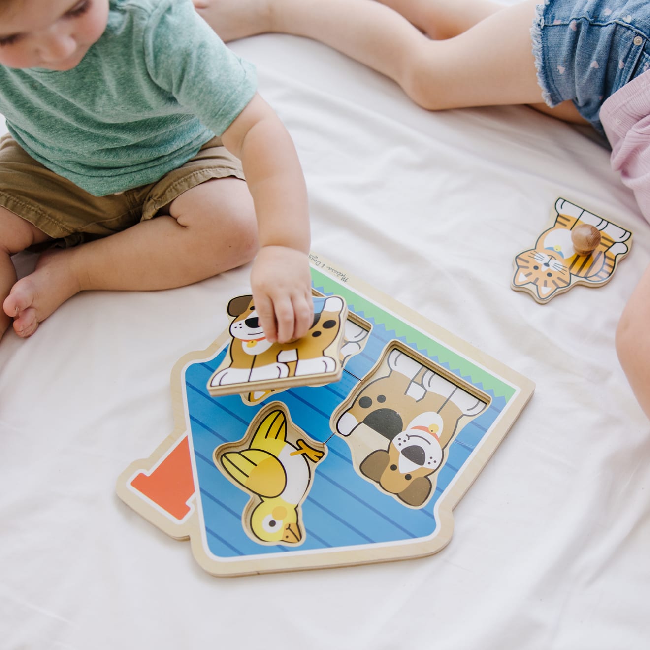 Melissa & Doug House Pets Jumbo Knob Puzzle - 3 Pieces